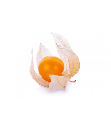 Cape Gooseberry or Physalis (Box of 12 tubs of 120 g)