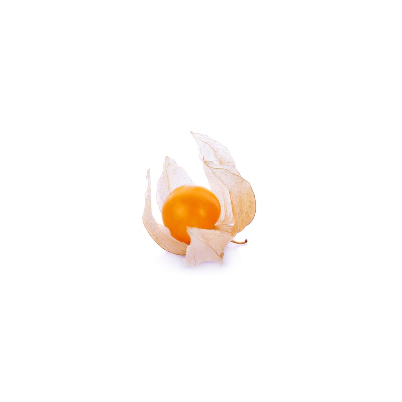 Cape gooseberry or Physalis (Box of 12 units of 120 g)