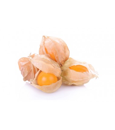 Cape gooseberry or Physalis (Box of 12 units of 120 g)