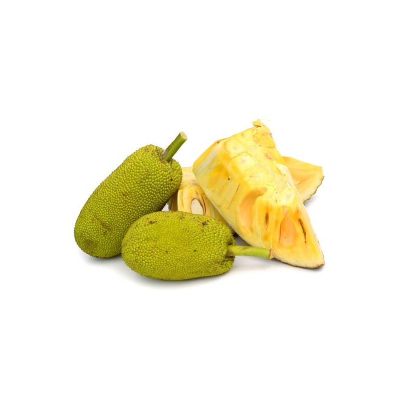 Jackfruit (Pieza de 11 Kg)